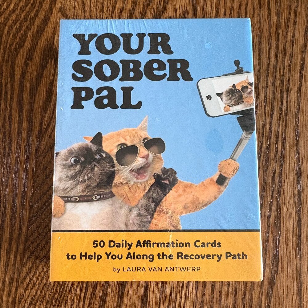 Your Sober Pal Sobriety Affirmation Deck: 50 Daily Affirmation Cards, NIP, NWT